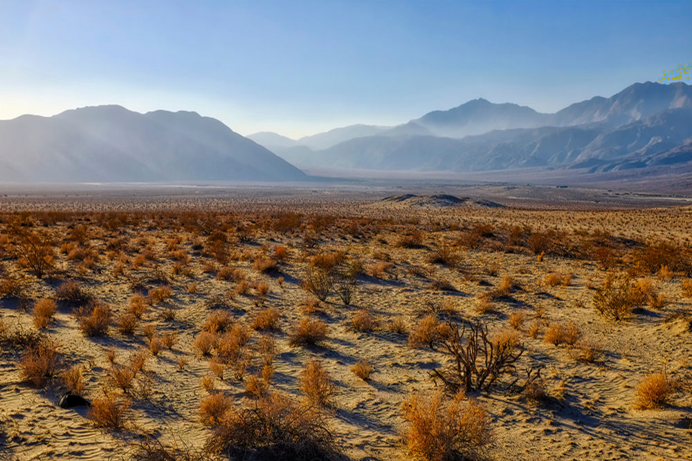 Custom Deck Builds in Borrego Springs
