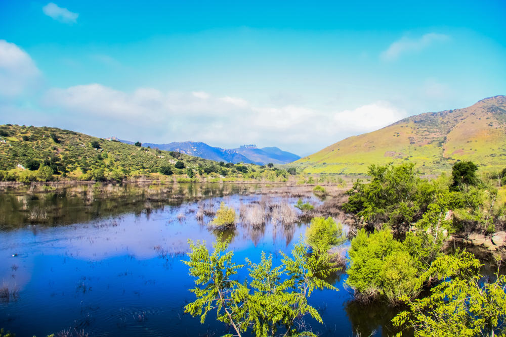 Custom Deck Builds in Crest, CA