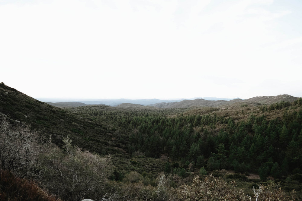 Patio Covers & Pergolas in Mount Laguna, CA