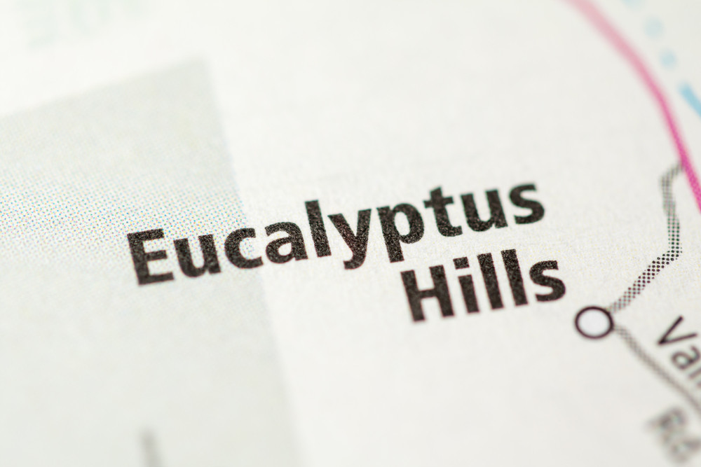 Railings & Stairs in Eucalyptus Hills, CA